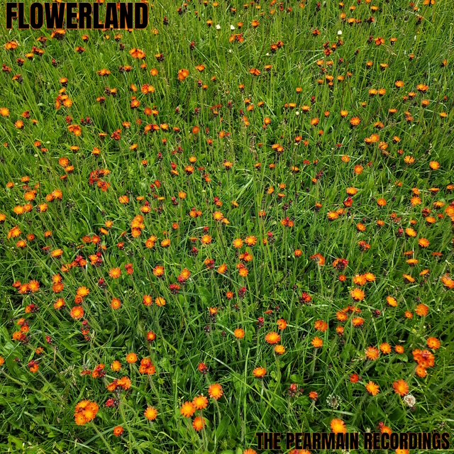 Flowerland Announces the Release of The Pearmain Recordings